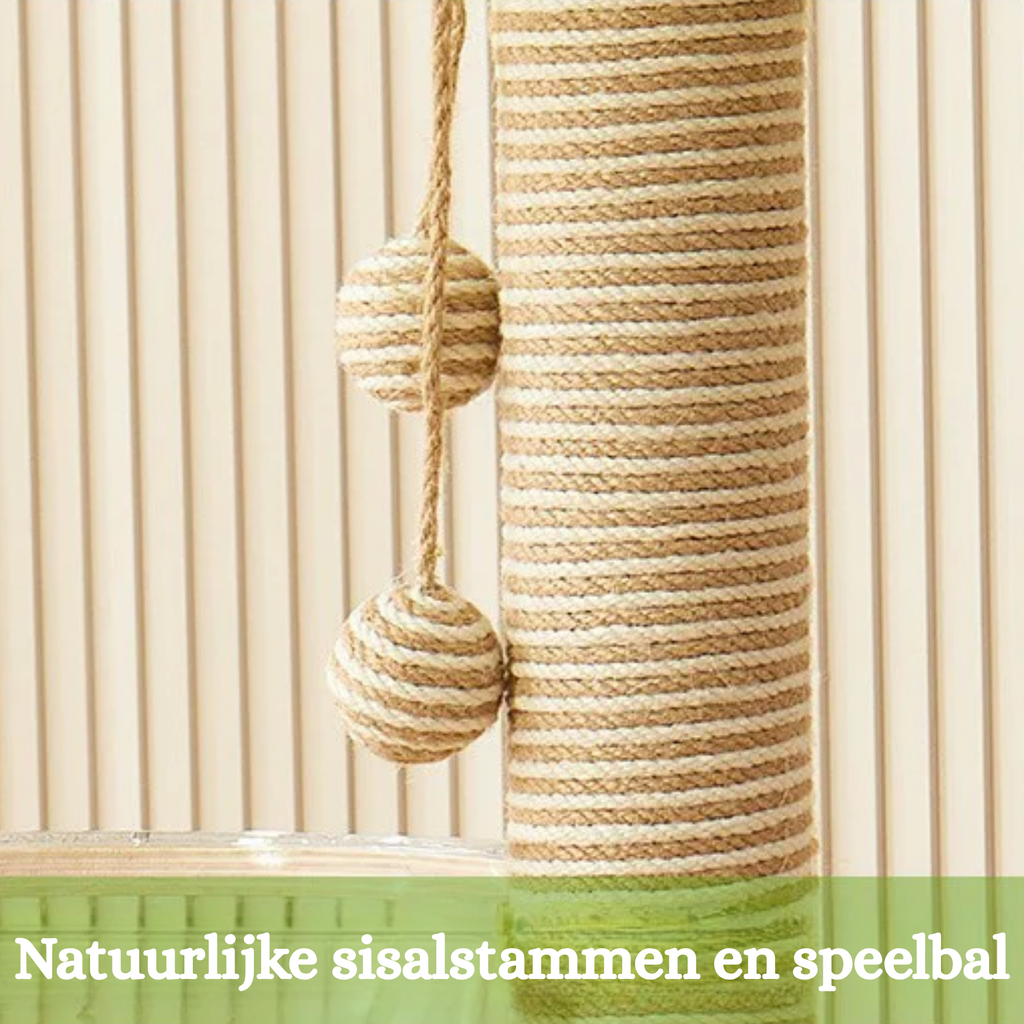 EcoPawPaw Palm Tree Cat Scratcher with Acrylic Space Capsule Bed – Modern Cat Lounge, Sisal Scratching Posts & Interactive Scratching Ball