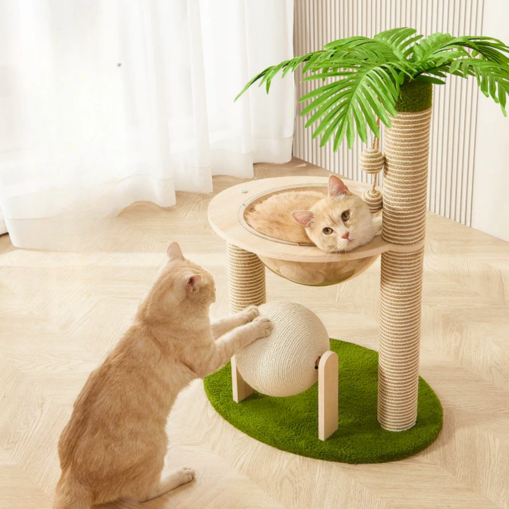 EcoPawPaw Palm Tree Cat Scratcher with Acrylic Space Capsule Bed – Modern Cat Lounge, Sisal Scratching Posts & Interactive Scratching Ball