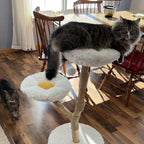 Modern Wooden Cat Tree with Cloud Perches