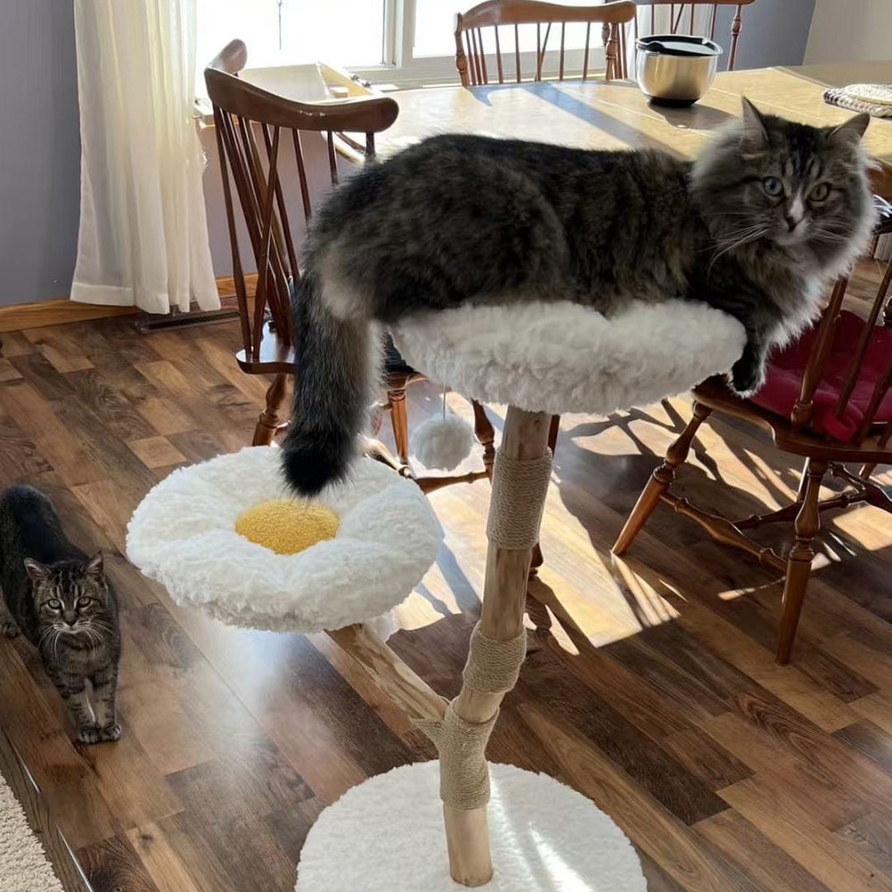 Cat lying on the upper flower perch with another cat nearby