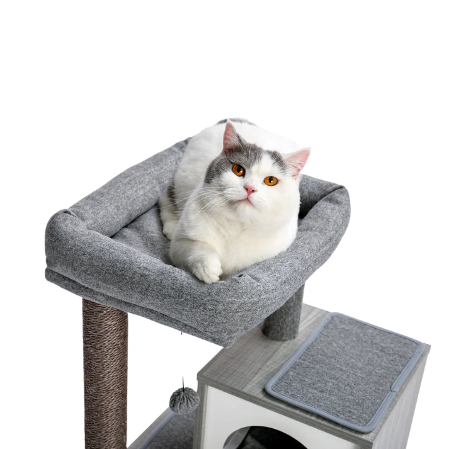 Cat resting in the grey padded top bed of a cat tree