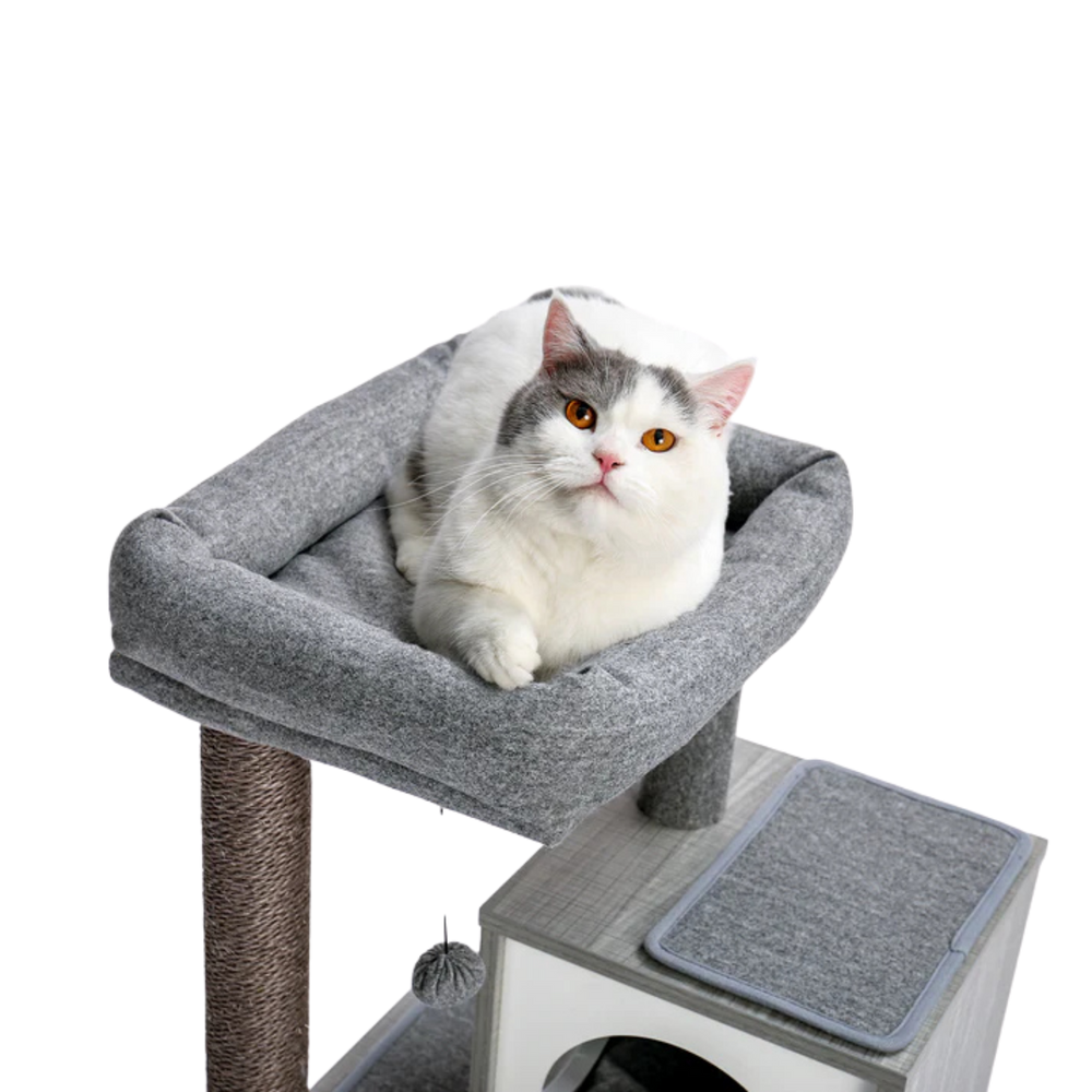 Cat resting in the grey padded top bed of a cat tree