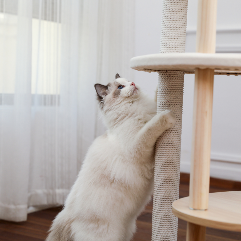 EcoPawPaw 124.5cm Japanese Minimalist Wooden Cat Tree – Modern Japandi Cat Tower with Scratching Post, Washable Pads & Perches
