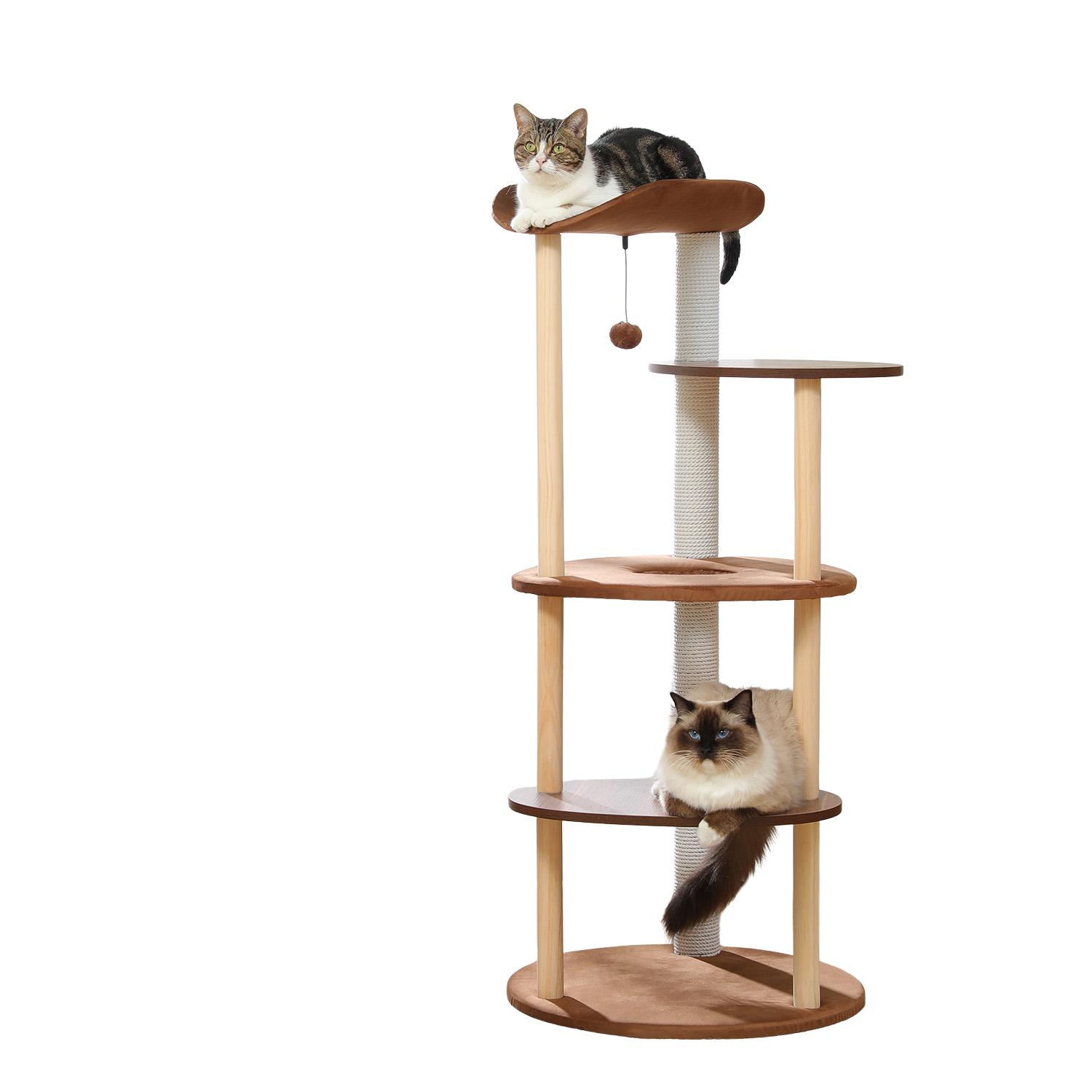 Two cats resting on a multi-level wooden cat tree with a curved brown top perch