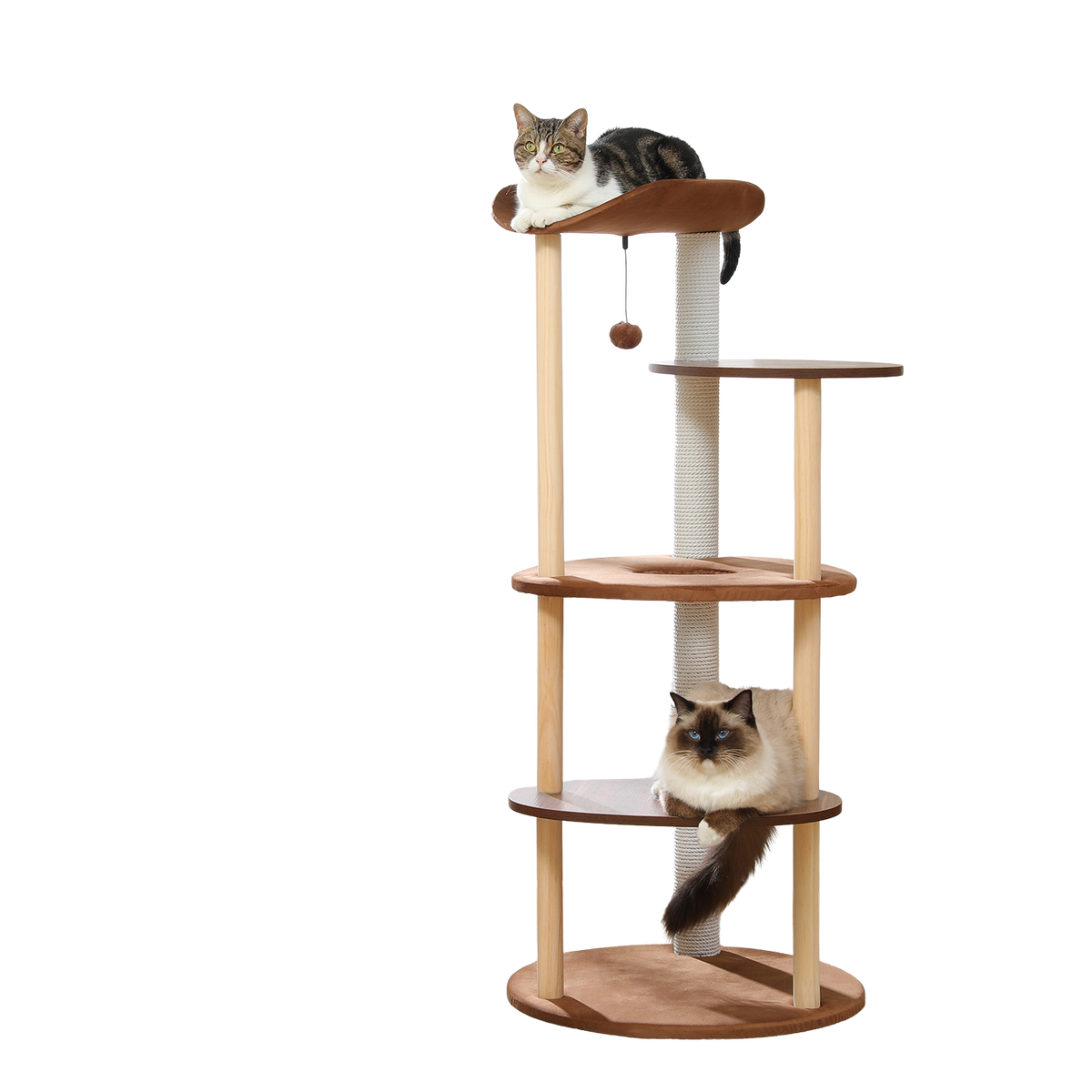 Two cats resting on a multi-level wooden cat tree with a curved brown top perch