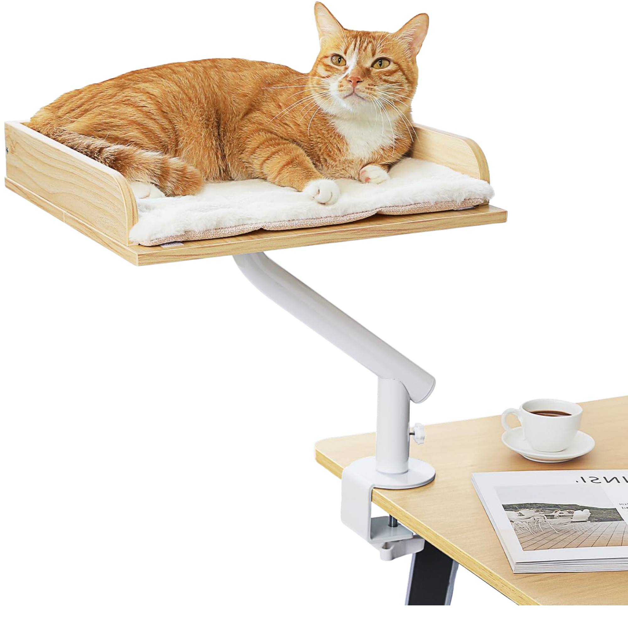 Cat Bed