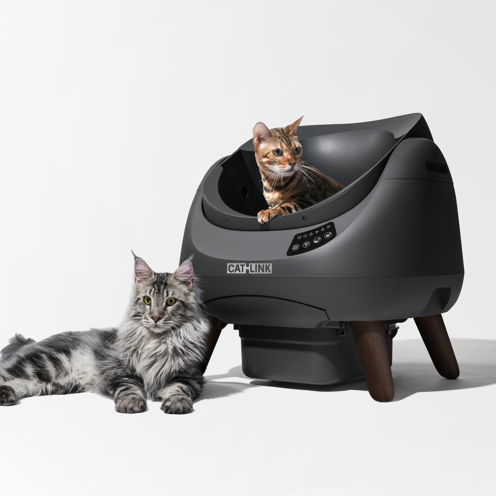 CATLINK Open X Smart Automatic Self-Cleaning Cat Litter Box – Grey