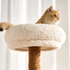 EcoPawPaw 128cm Flower Cat Tree with Transparent Hammock & Sisal Scratching Posts