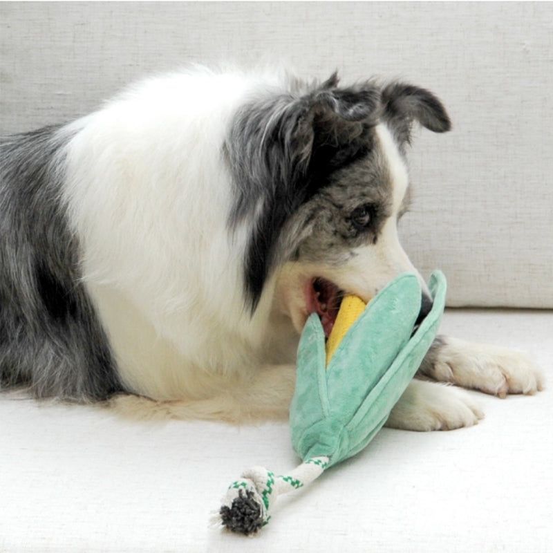 EcoPawPaw Recycled Stuffing-Free Squeaky Dog Toy – Vegetable Collection