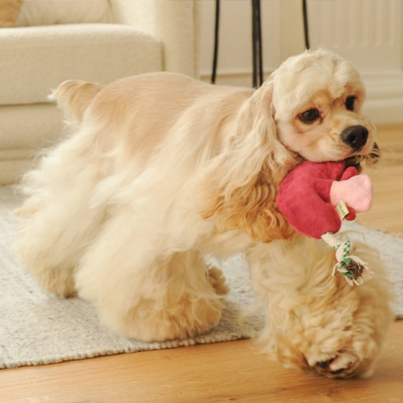 EcoPawPaw Recycled Stuffing-Free Squeaky Dog Toy – Vegetable Collection