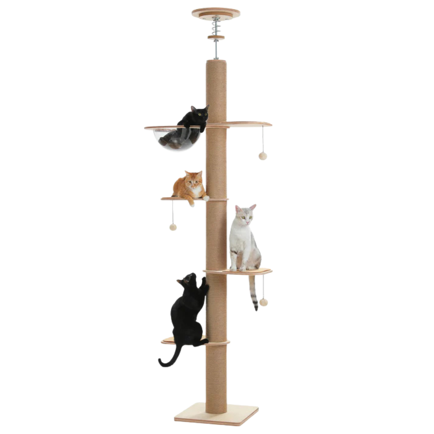 EcoPawPaw Solid Wood Floor-to-Ceiling Cat Tree