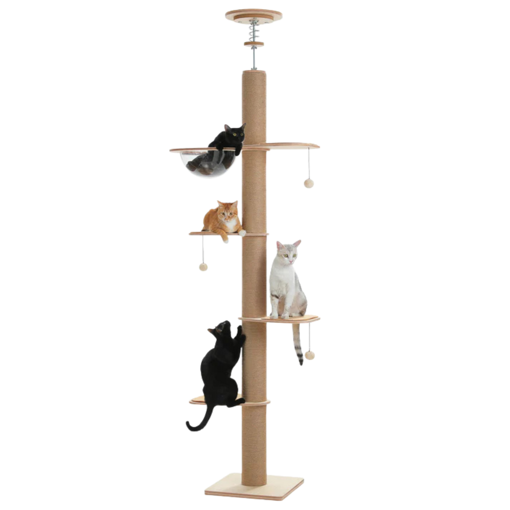 EcoPawPaw Solid Wood Floor-to-Ceiling Cat Tree