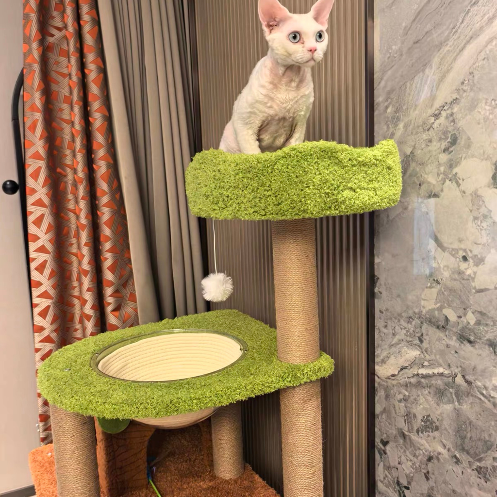 EcoPawPaw Forest Cottage Cat Tree Collection | Woodland Cat Tower with Cozy House, Scratching Posts & Lounge Bed