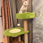 EcoPawPaw Forest Cottage Cat Tree Collection | Woodland Cat Tower with Cozy House, Scratching Posts & Lounge Bed