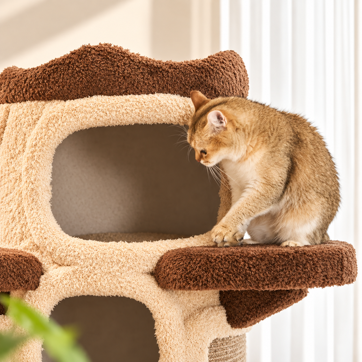 EcoPawPaw Treehouse MAX – XXL Natural Wood Cat Tree 177 cm