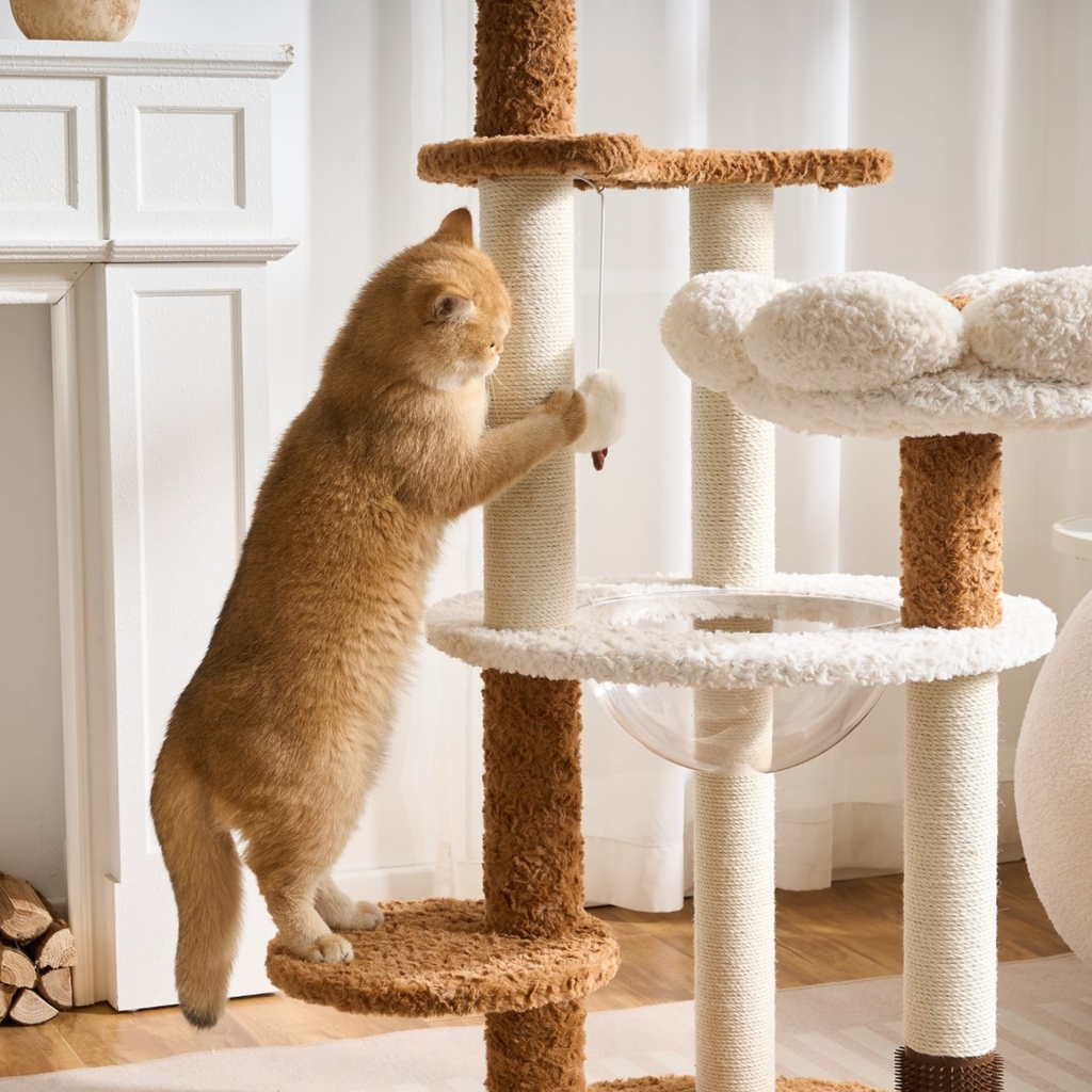 EcoPawPaw 128cm Flower Cat Tree with Transparent Hammock & Sisal Scratching Posts