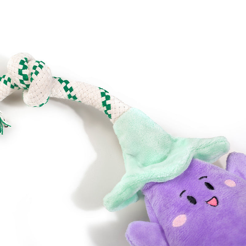 EcoPawPaw Recycled Stuffing-Free Squeaky Dog Toy – Vegetable Collection