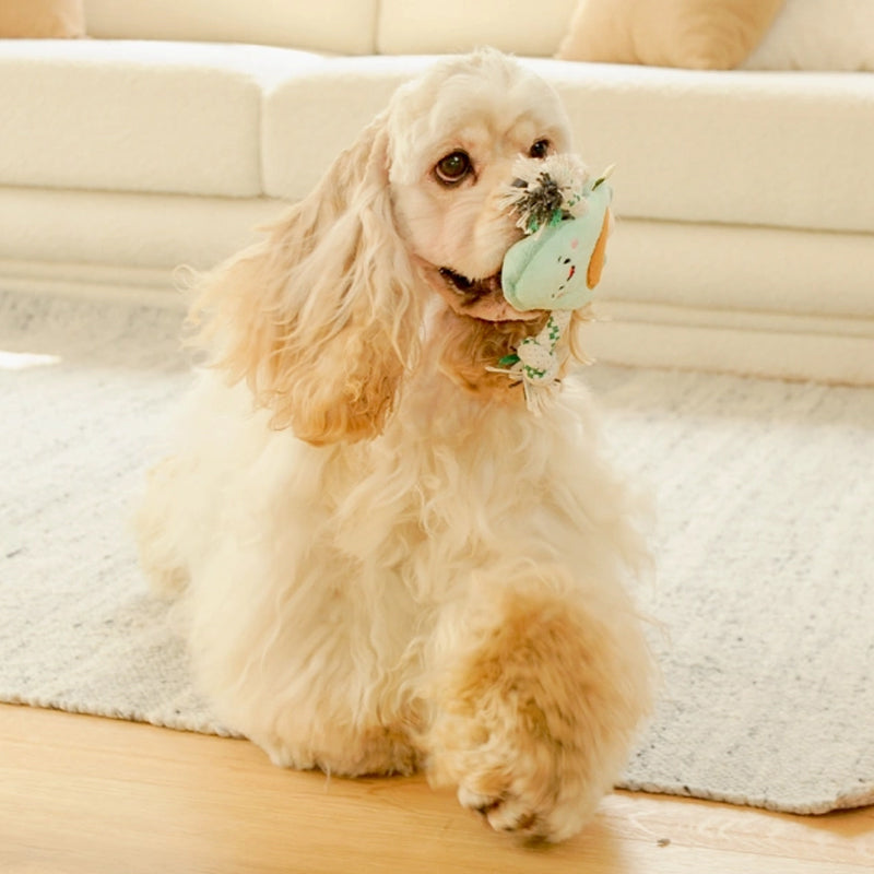 EcoPawPaw Recycled Stuffing-Free Squeaky Dog Toy – Vegetable Collection