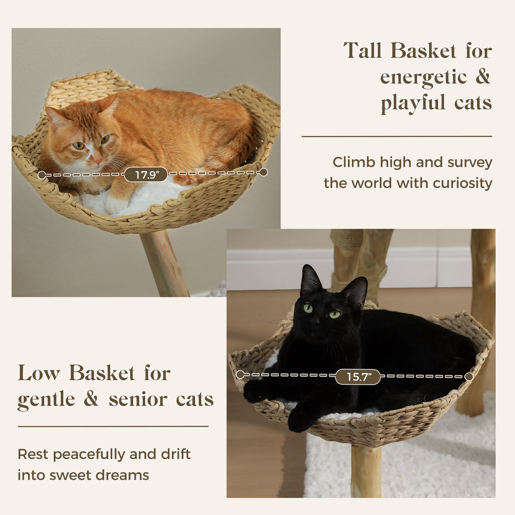 EcoPawPaw Luxury Natural Wood Cat Tree 180cm | Multi-Cat Tower