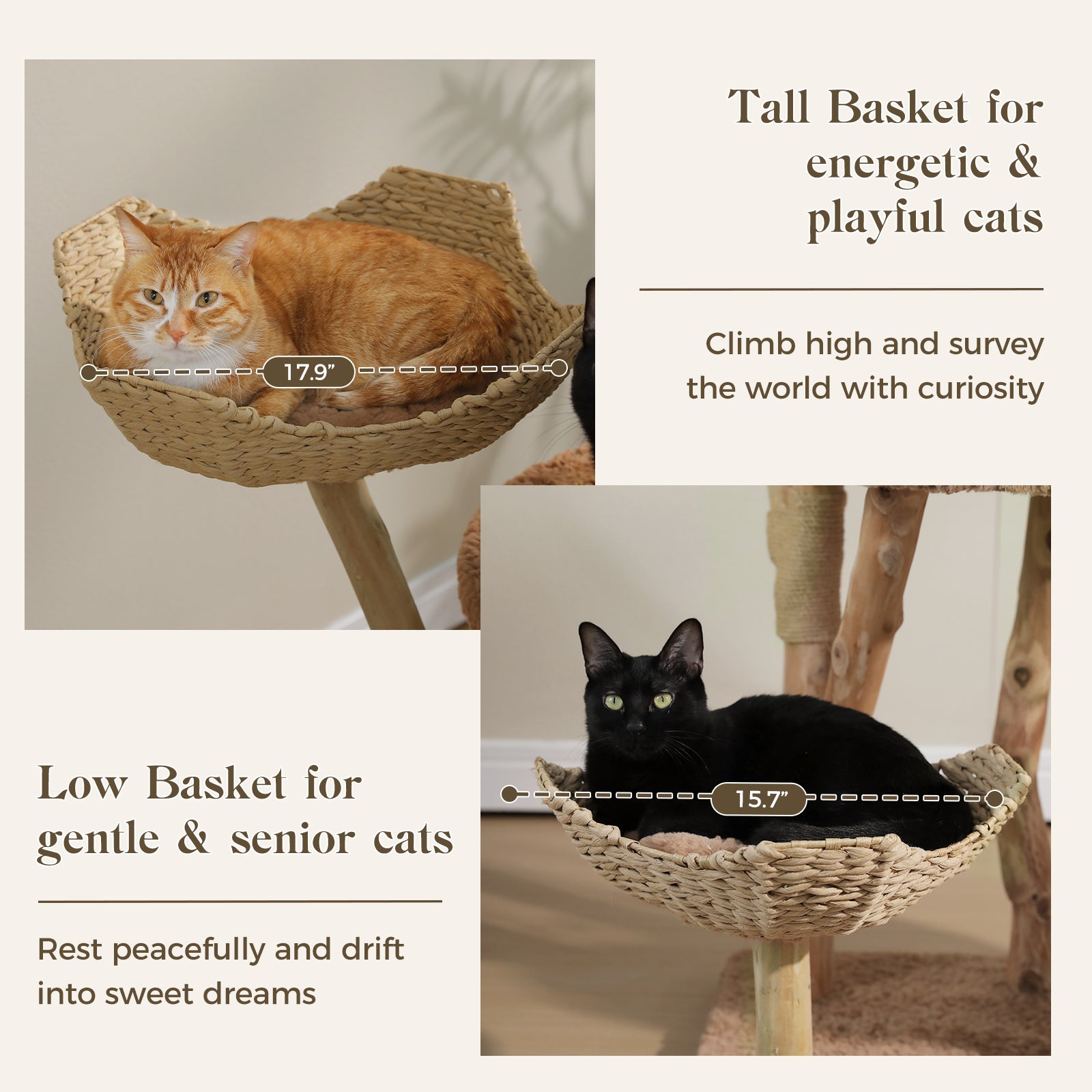 EcoPawPaw Luxury Natural Wood Cat Tree 180cm | Multi-Cat Tower