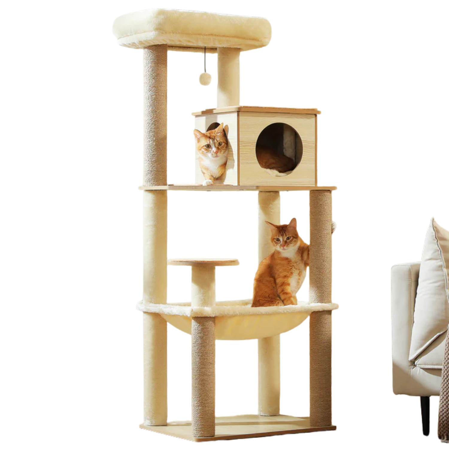 Wooden Cat Tree with Condo & Hammock