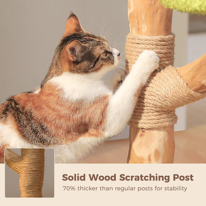 Brown Tree Trunk Cat Tree