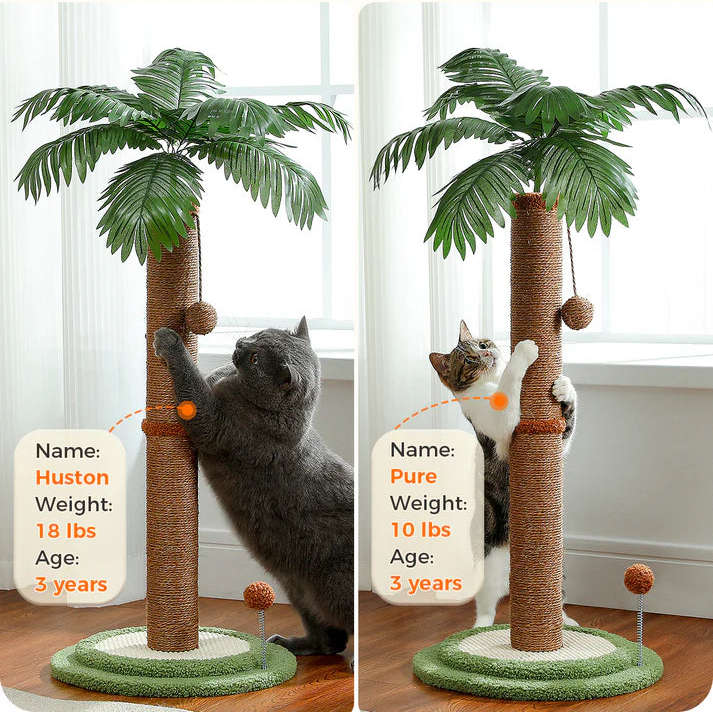 Palm Tree Cat Scratching Post