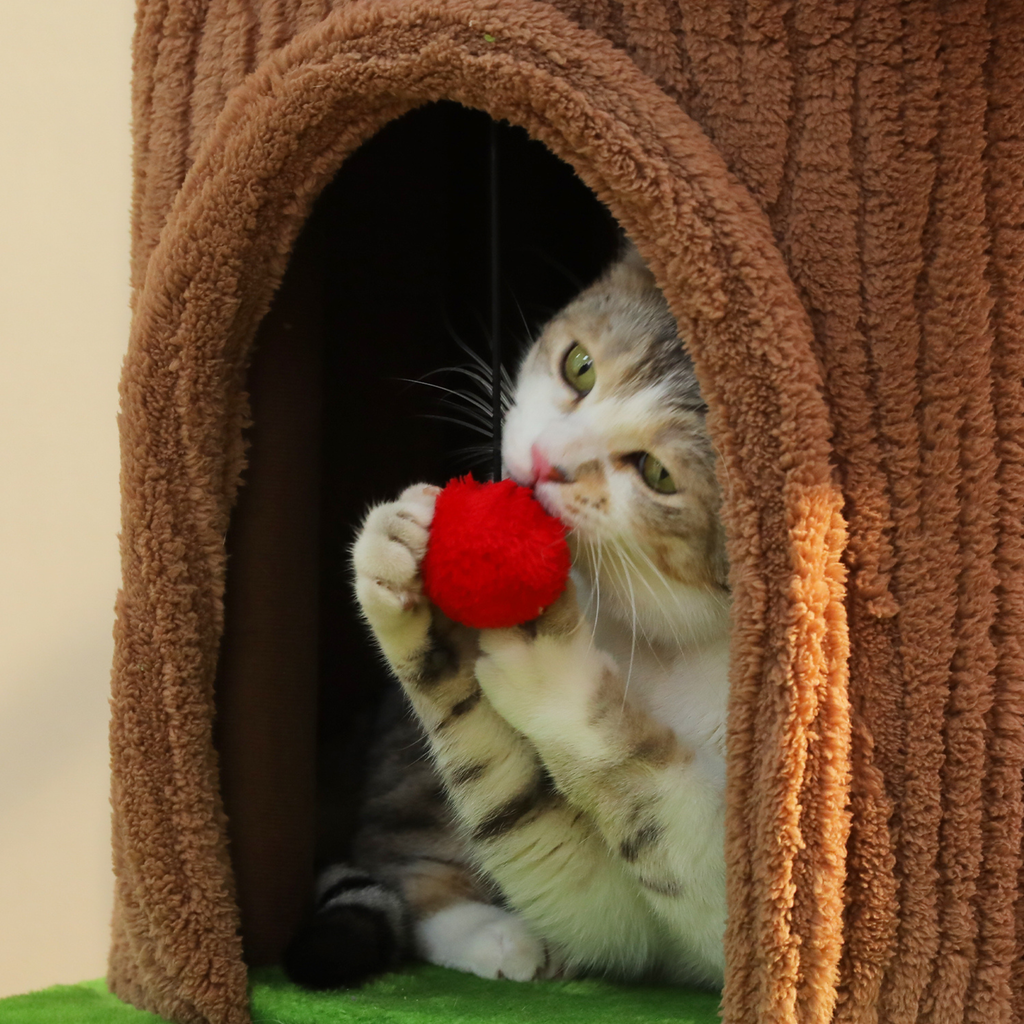 EcoPawPaw Tree Trunk Cat Tower