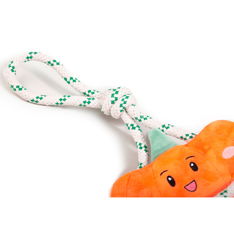 EcoPawPaw Recycled Stuffing-Free Squeaky Dog Toy – Vegetable Collection