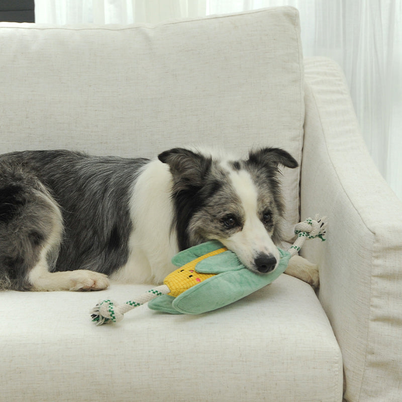 EcoPawPaw Recycled Stuffing-Free Squeaky Dog Toy – Vegetable Collection