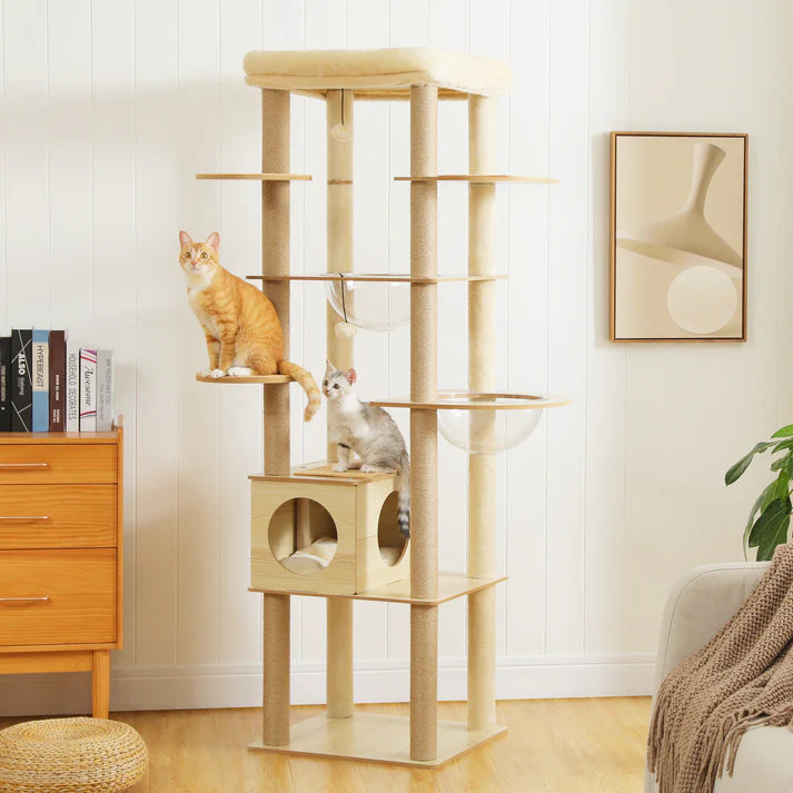 Wooden Cat Tree with Acrylic Space Capsule