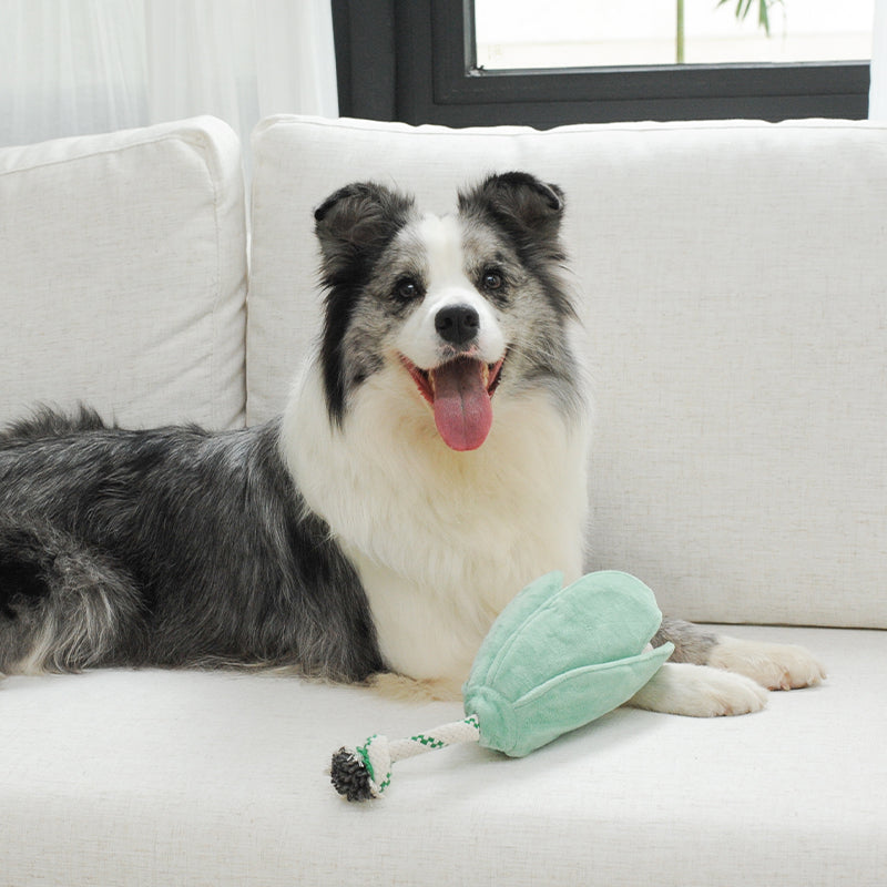 EcoPawPaw Recycled Stuffing-Free Squeaky Dog Toy – Vegetable Collection