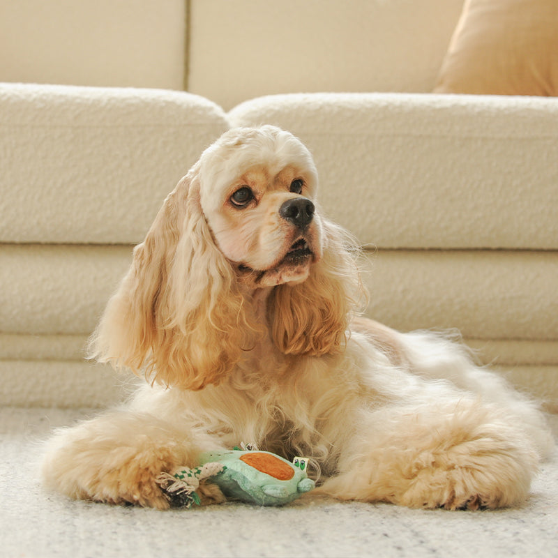 EcoPawPaw Recycled Stuffing-Free Squeaky Dog Toy – Vegetable Collection