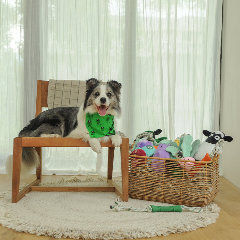 EcoPawPaw Recycled Stuffing-Free Squeaky Dog Toy – Vegetable Collection