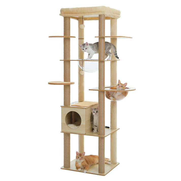 Wooden Cat Tree with Acrylic Space Capsule