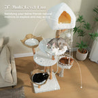 EcoPawPaw Luxury Natural Wood Cat Tree 180cm | Multi-Cat Tower
