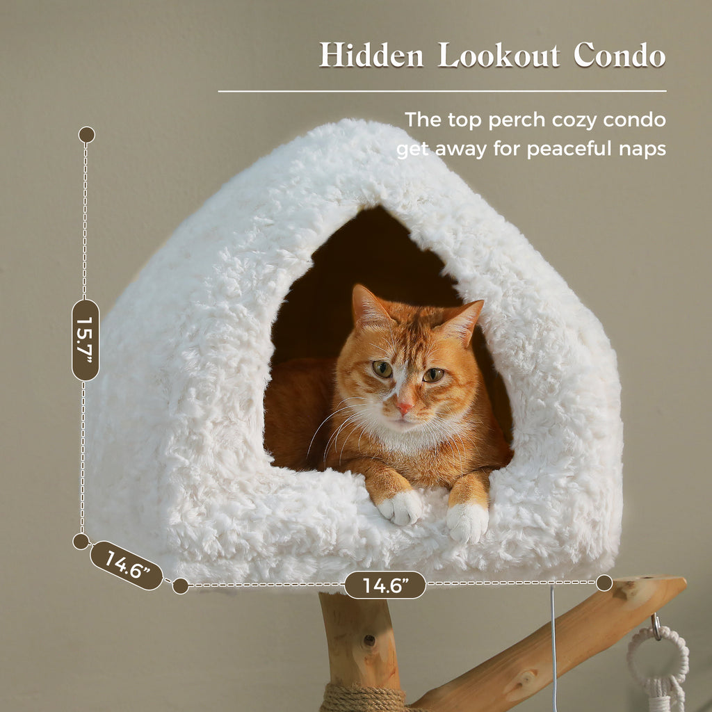 EcoPawPaw Luxury Natural Wood Cat Tree 180cm | Multi-Cat Tower