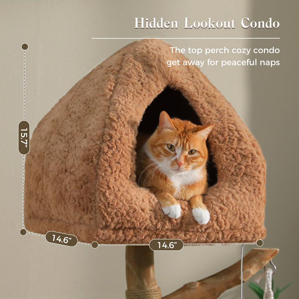 EcoPawPaw Luxury Natural Wood Cat Tree 180cm | Multi-Cat Tower