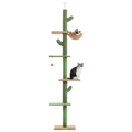 Cactus Floor to Ceiling Cat Tree