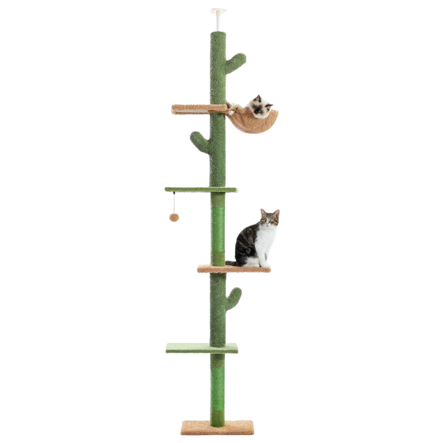 Cactus Floor to Ceiling Cat Tree