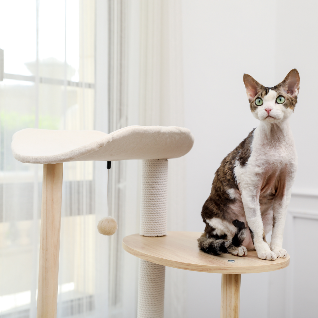 EcoPawPaw 124.5cm Japanese Minimalist Wooden Cat Tree – Modern Japandi Cat Tower with Scratching Post, Washable Pads & Perches