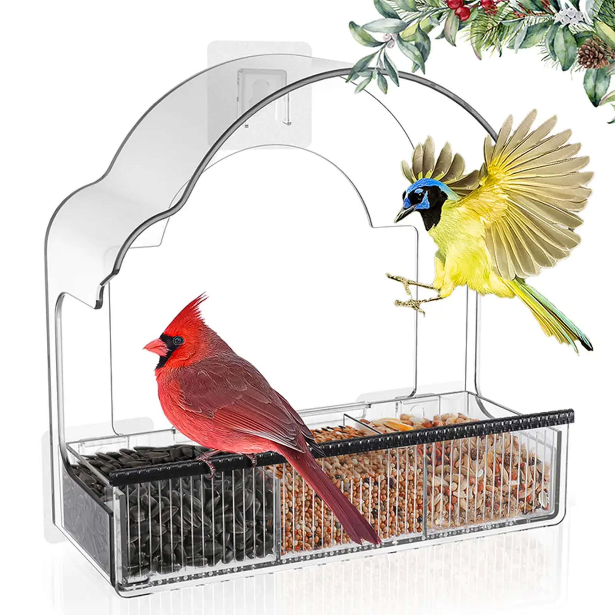 EcoPawPaw Clear Window Bird Feeder– Acrylic Weatherproof Bird Feeder for Outdoor Bird Watching