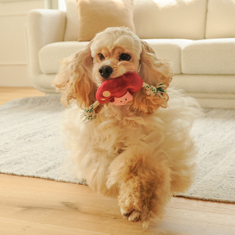 EcoPawPaw Recycled Stuffing-Free Squeaky Dog Toy – Vegetable Collection