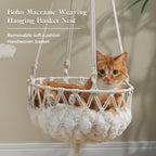 EcoPawPaw Luxury Natural Wood Cat Tree 180cm | Multi-Cat Tower