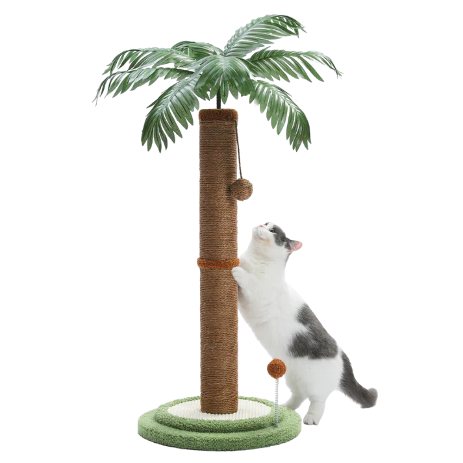 cat palm tree scratching post Palm Tree Cat Scratching Post – EcoPawPaw