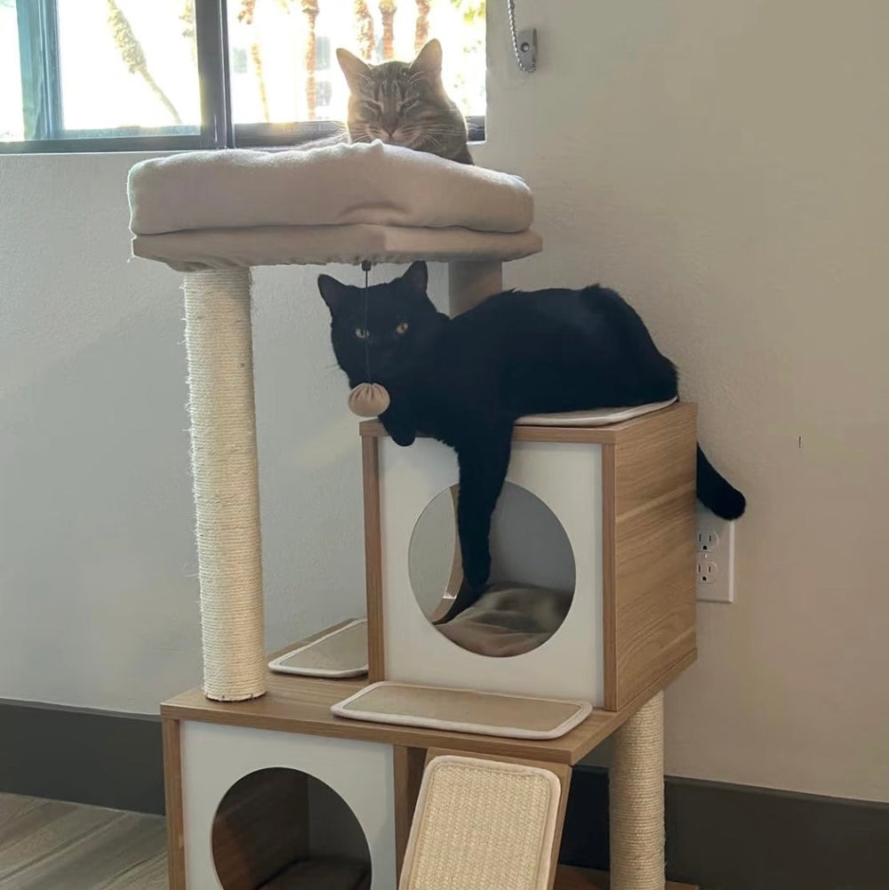 Two cats resting on a cream wooden cat tree beside a window