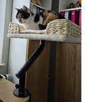 Desk Mounted Cat Bed with 360° Rotation – Handwoven Rattan Cat Perch for Office & Workstation | Clamp-On Cat Shelf (40×30cm)
