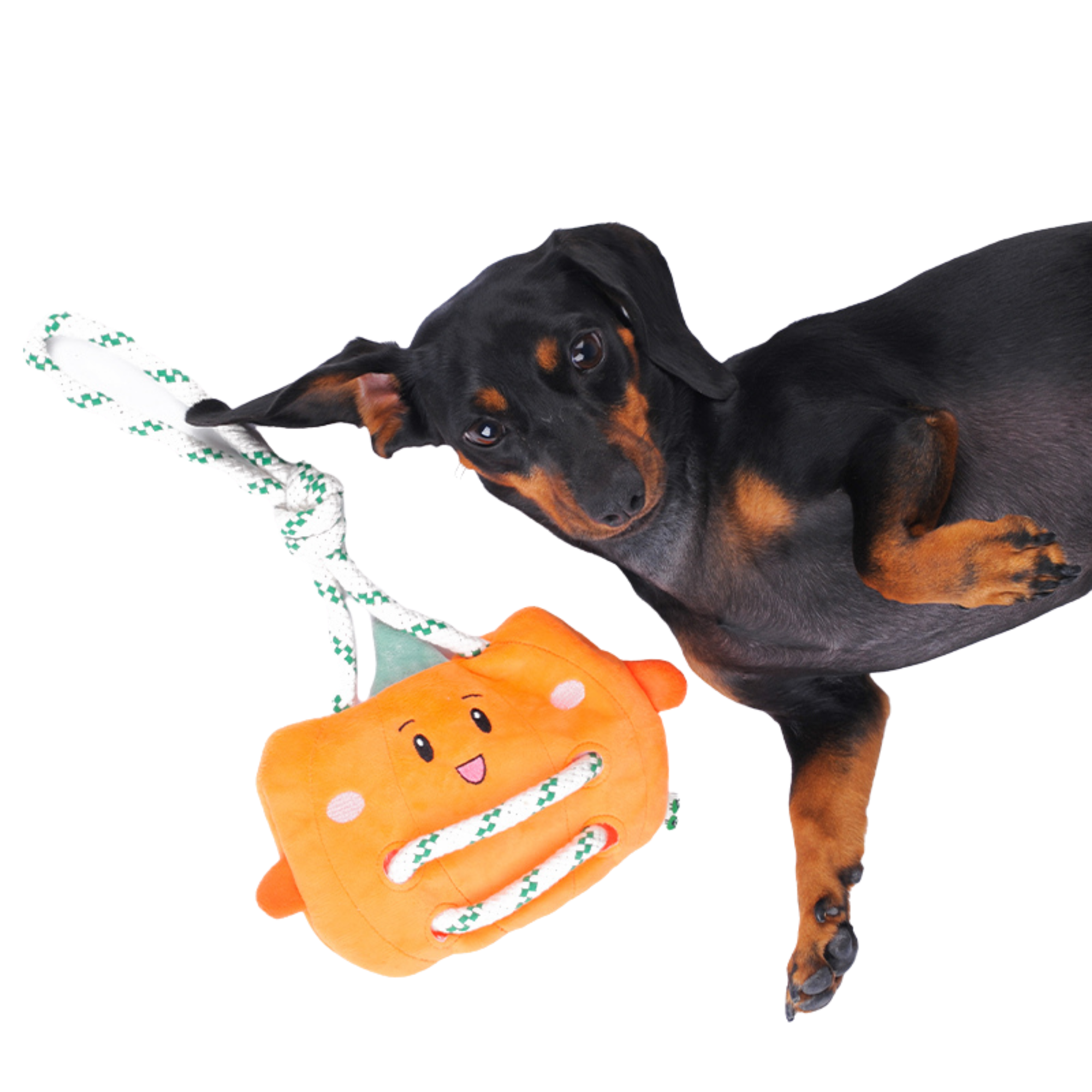 EcoPawPaw Recycled Stuffing-Free Squeaky Dog Toy – Vegetable Collection