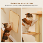 EcoPawPaw Natural Wall-Mounted Cat Climbing Set