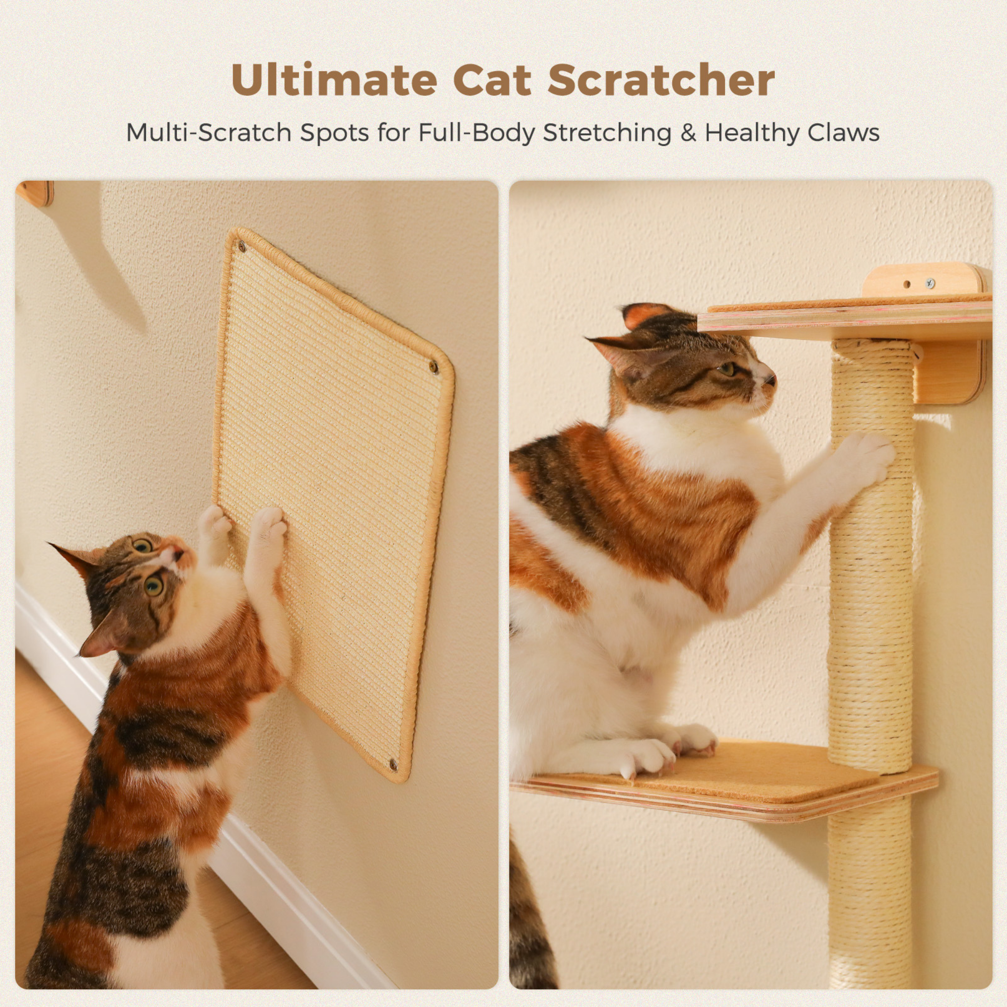 EcoPawPaw Natural Wall-Mounted Cat Climbing Set